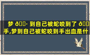 梦 🌷 到自己被蛇咬到了 🐝 手,梦到自己被蛇咬到手出血是什么意思